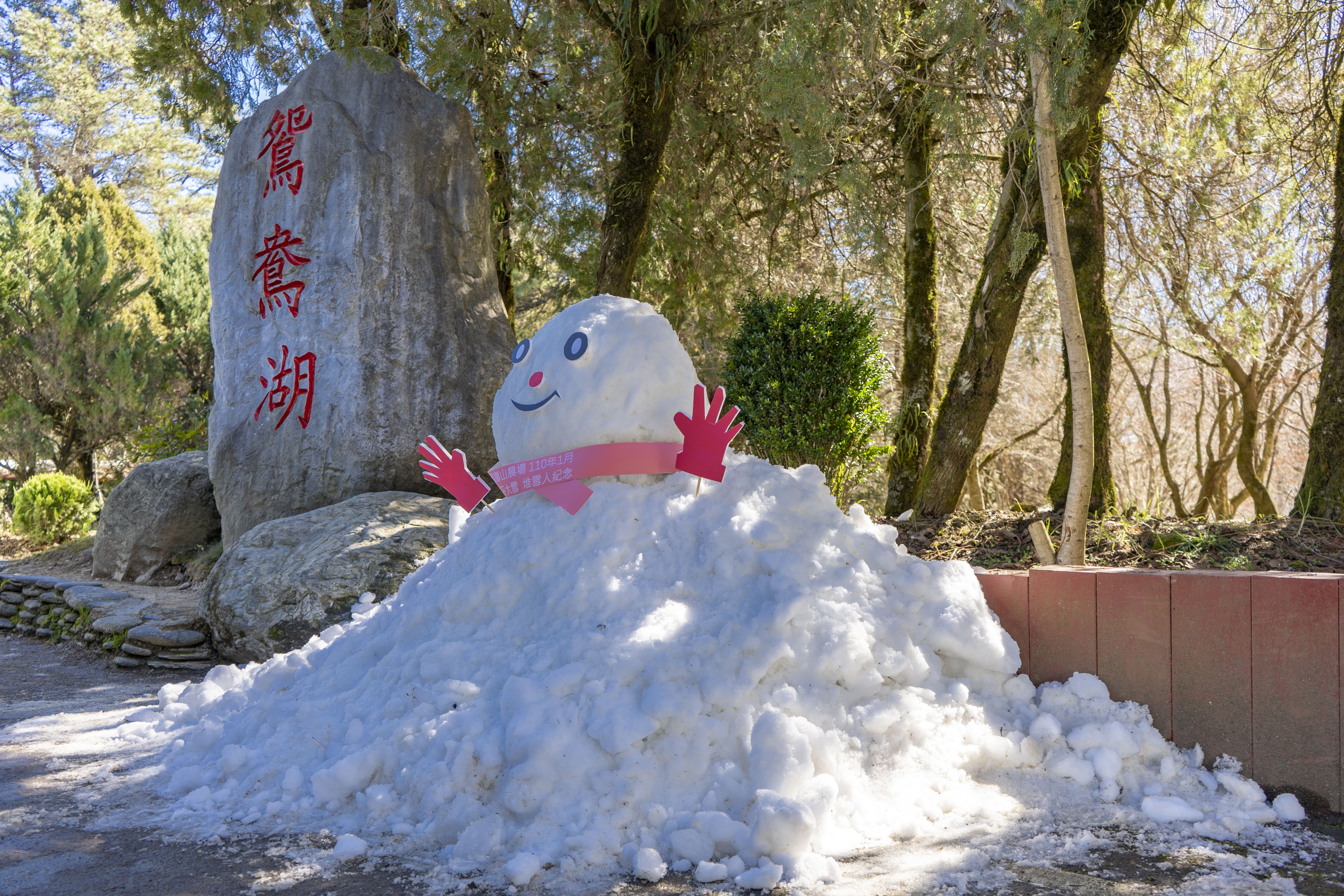 福壽山農場_01月_ (11).jpg